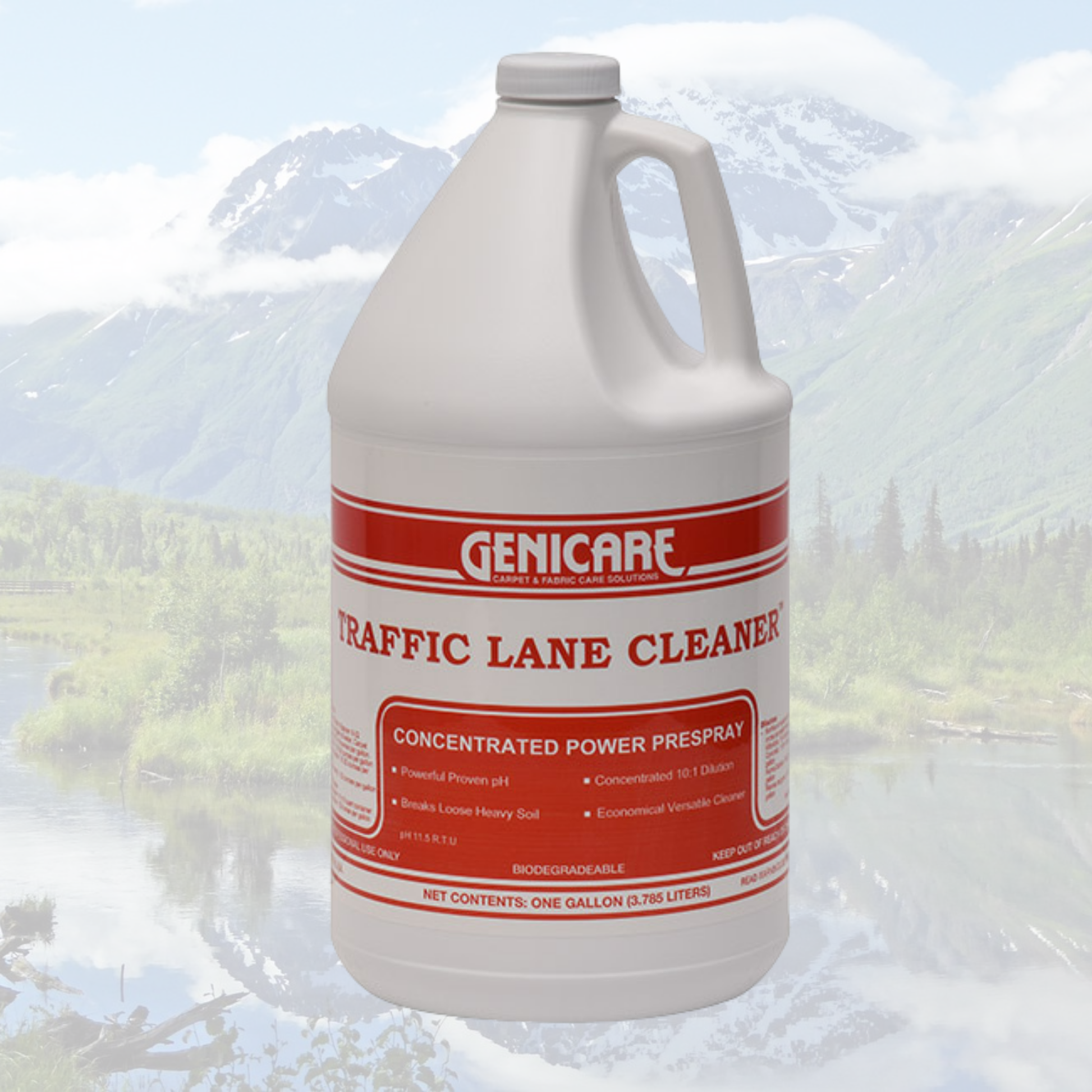 Traffic Lane Cleaner